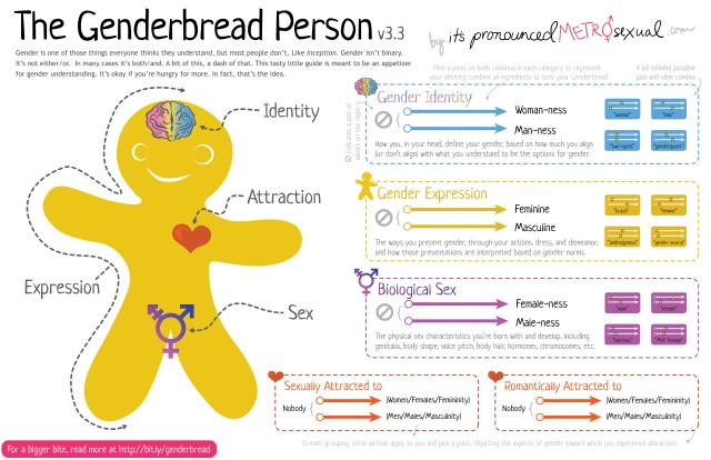 Genderbread-Person-3.3-HI-RES
